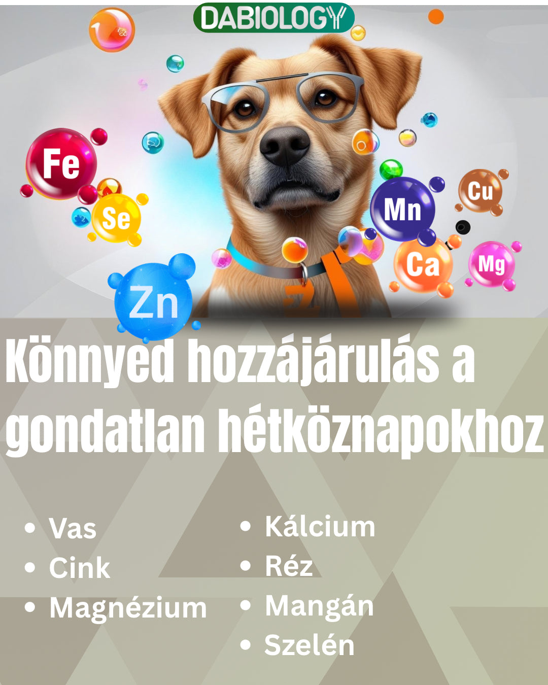 Gastro+ Allergiás tüneteket csökkentő, Immunerősítő Huminsav 100g