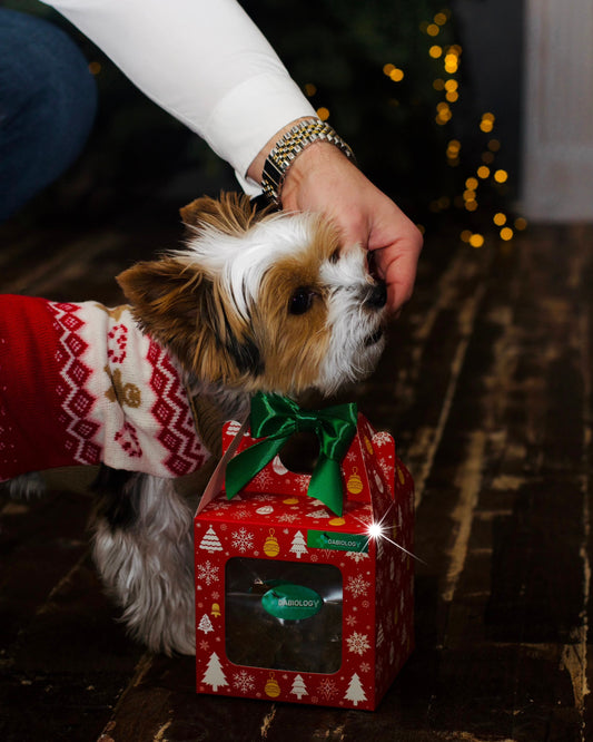 Humin-Snack Kutya jutalomfalat Karácsonyi Limitált kiadás Piros Almás-Répás