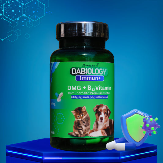 Immun +  DMG + B12 prémium immunerősítő  60 mg