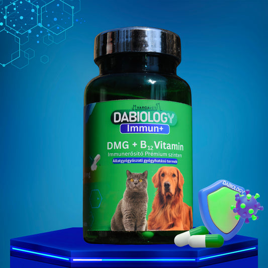 Immun+ DMG + B12 prémium immunerősítő 100 mg