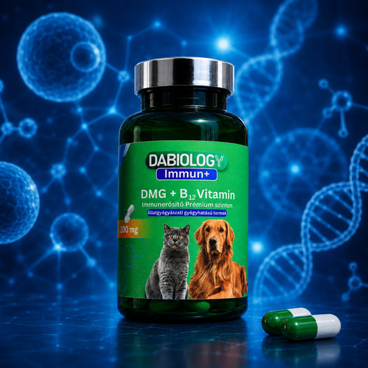Immun+ DMG + B12 prémium immunerősítő 100 mg