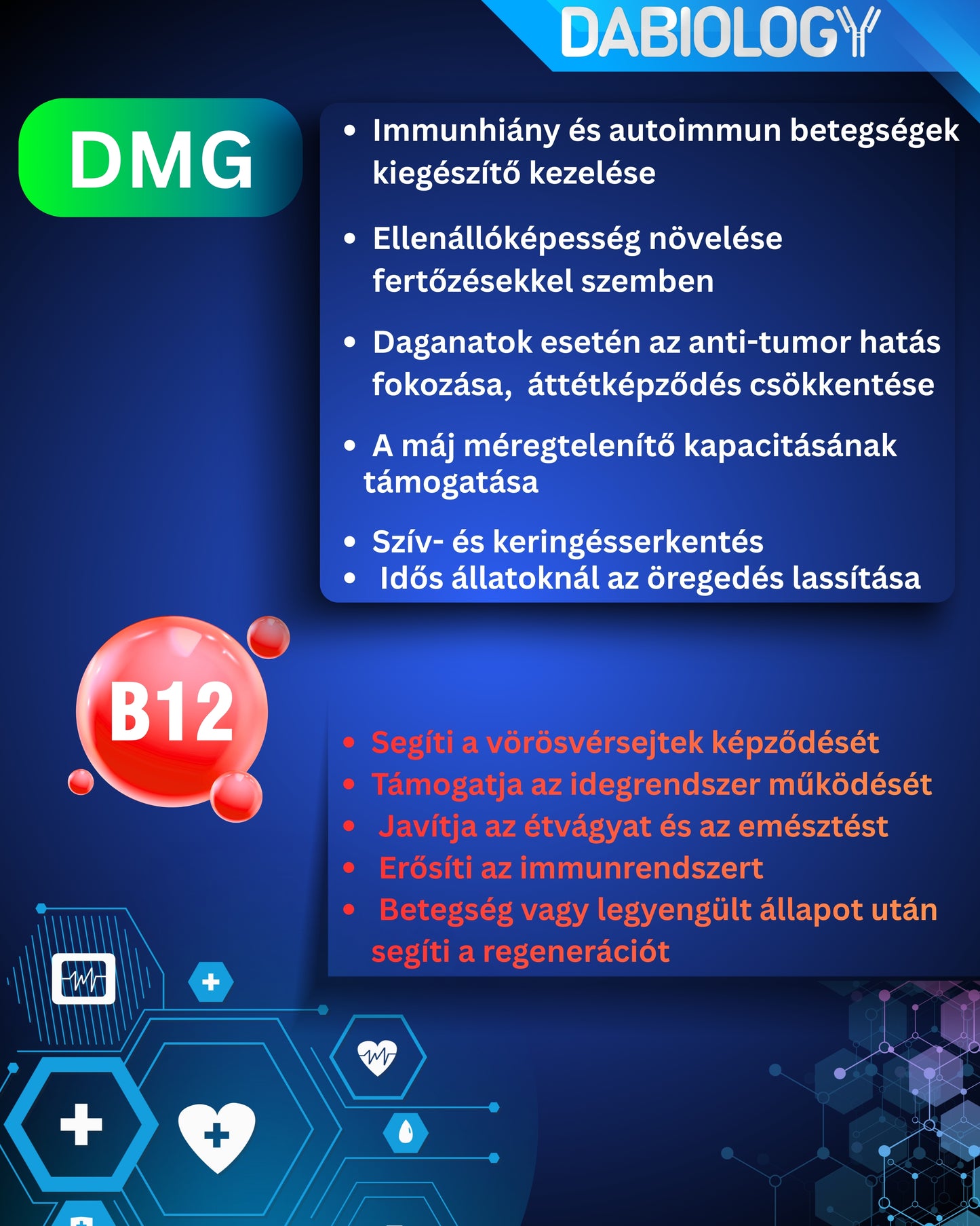 Immun +  DMG + B12 prémium immunerősítő  60 mg